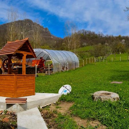Вилла Bustea 2 Hartagani Экстерьер фото
