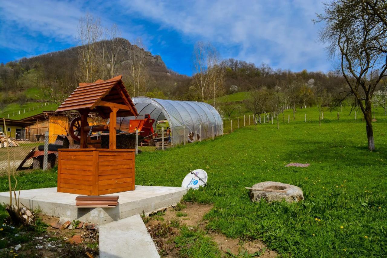 Вилла Bustea 2 Hartagani Экстерьер фото